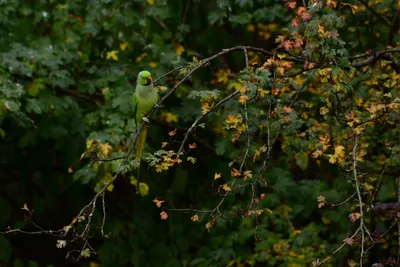 DSC_0491 (Large).JPG